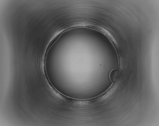 X0000111510802200907211202