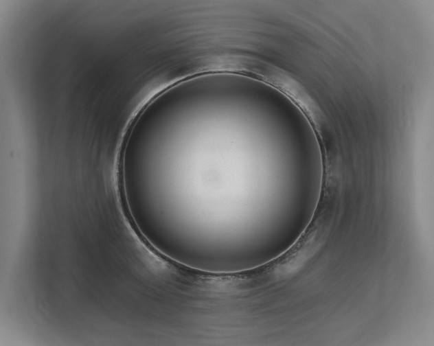 X0000111510803200907211202