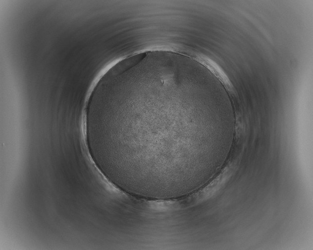 X0000111510804200907211202