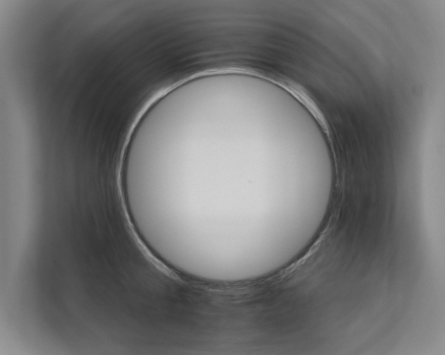 X0000111510805200907211202