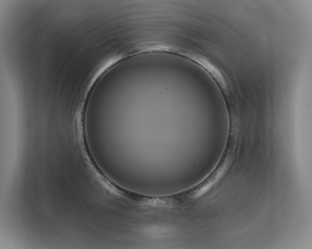 X0000111510806200907211202