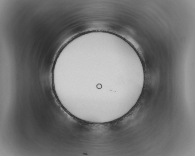 X0000111510807200907211202