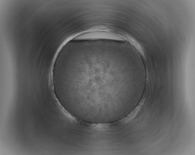 X0000111510808200907211202