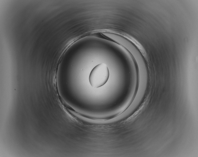 X0000111510809200907211202