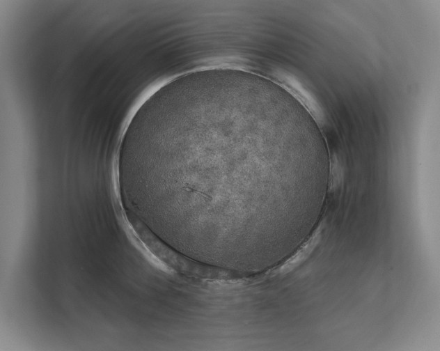 X0000111510812200907211202