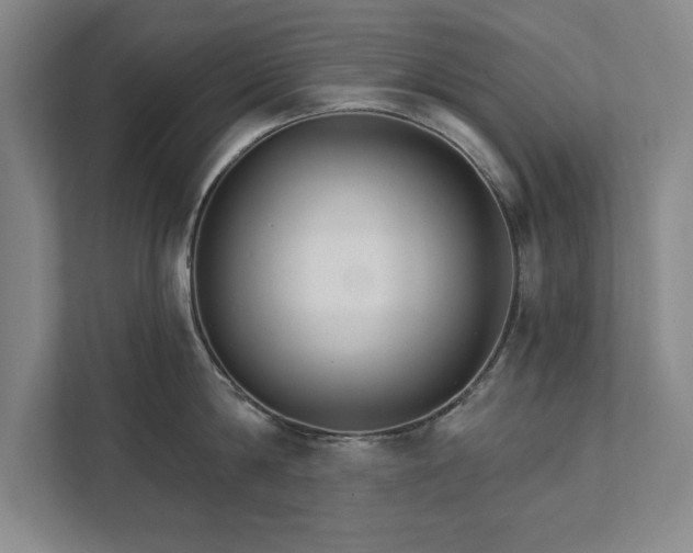 X0000111510814200907211202