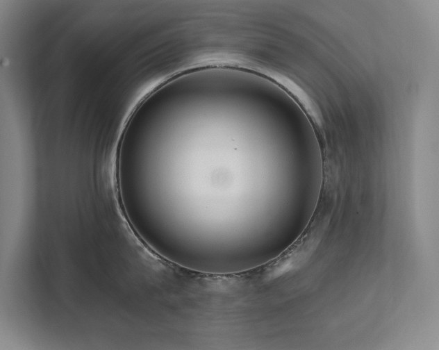 X0000111510815200907211202