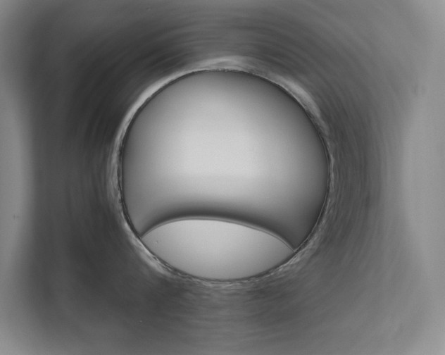X0000111510816200907211202