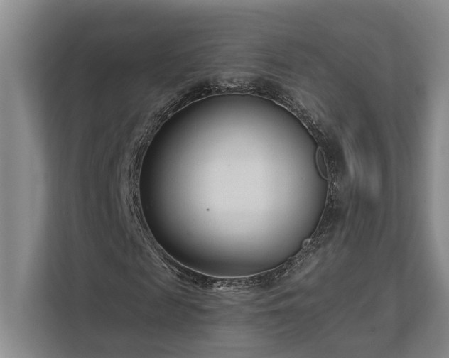 X0000111510817200907211201