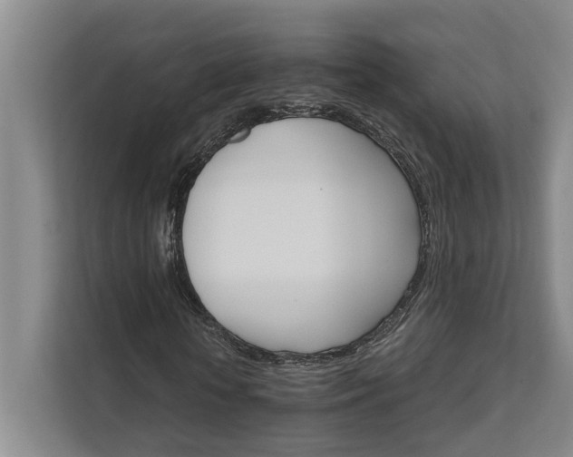 X0000111510818200907211201