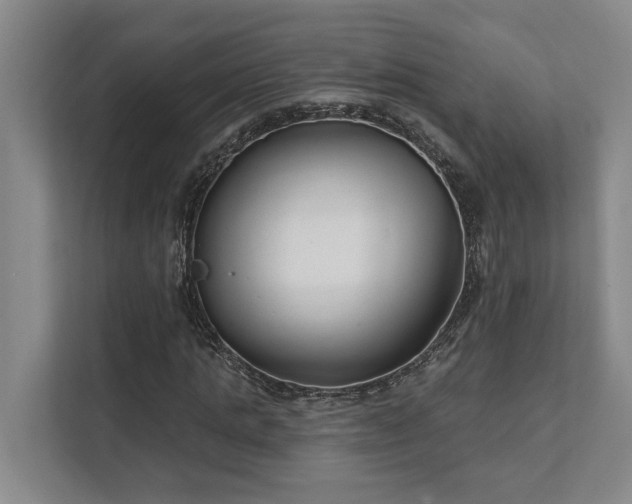X0000111510821200907211201
