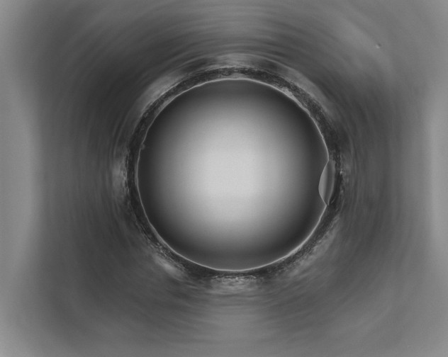 X0000111510826200907211201