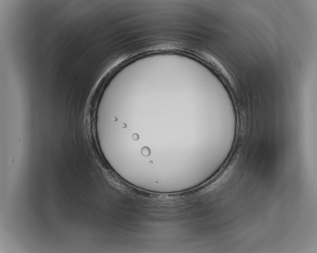 X0000111510827200907211201