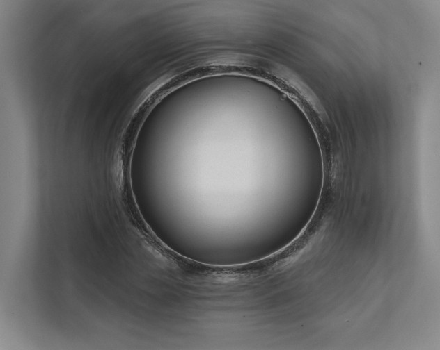 X0000111510829200907211201