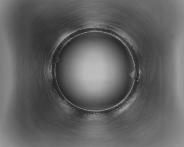 X0000111510830200907211201