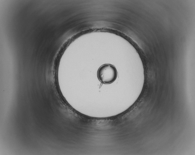 X0000111510832200907211201