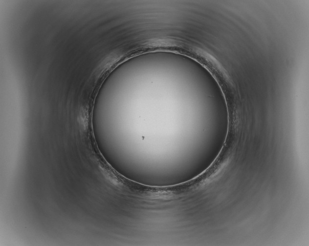 X0000111510833200907211201