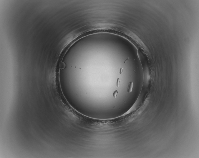 X0000111510834200907211201