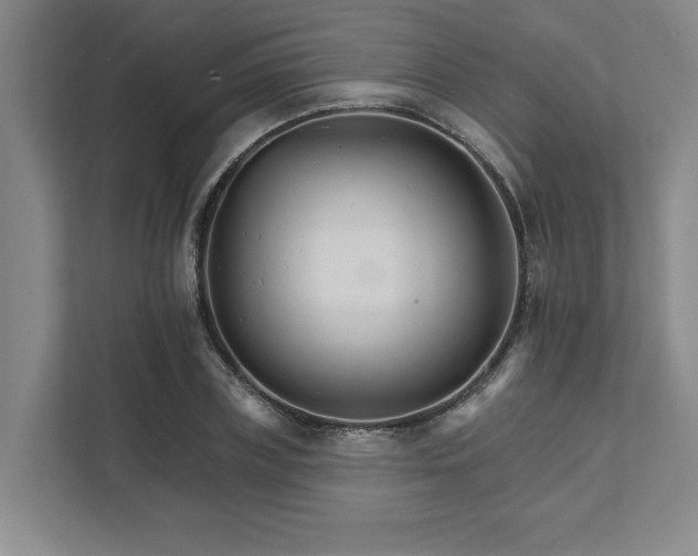X0000111510835200907211201