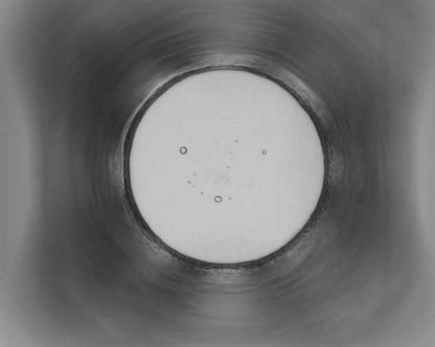 X0000111510836200907211201