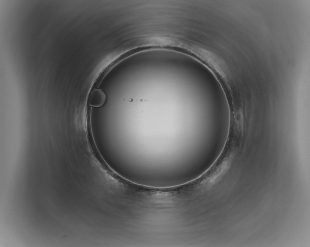 X0000111510839200907211202
