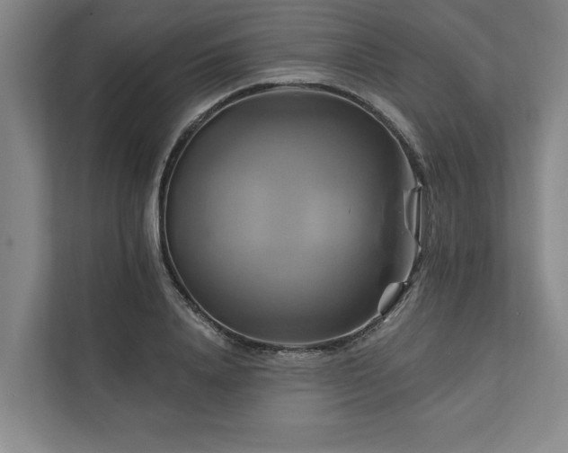 X0000111510840200907211202