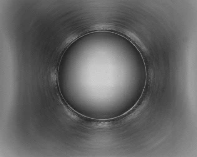 X0000111510841200907211202