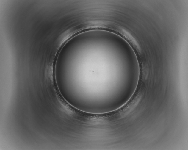 X0000111510842200907211202