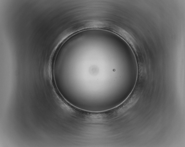 X0000111510843200907211202