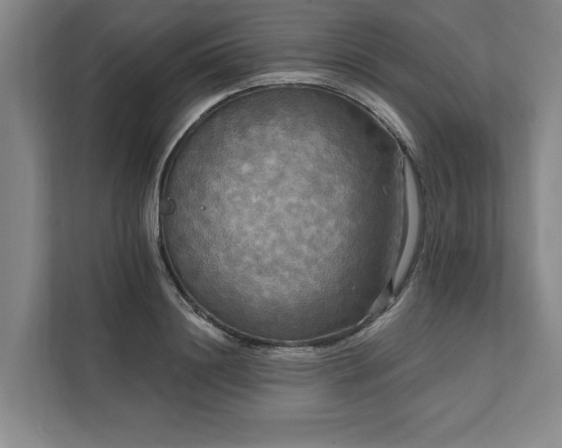 X0000111510844200907211202