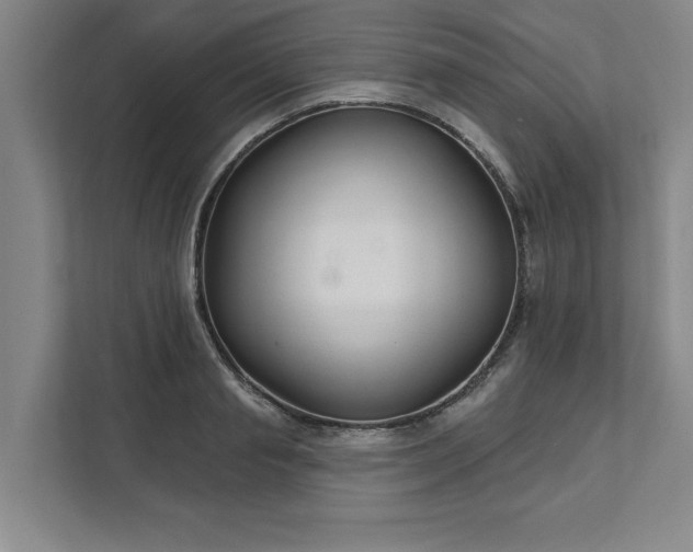 X0000111510845200907211202
