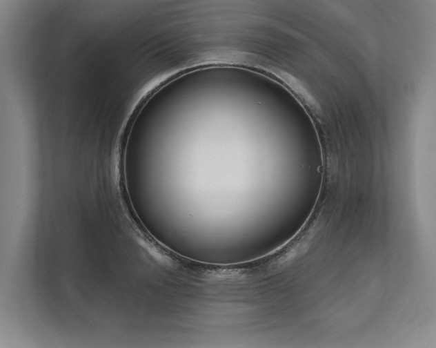 X0000111510846200907211202