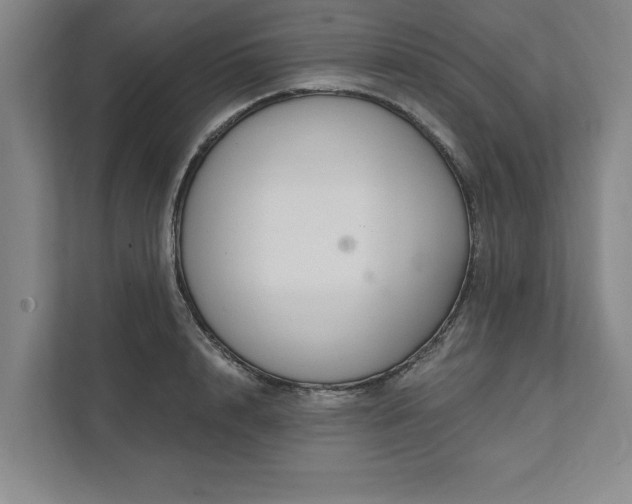 X0000111510848200907211202