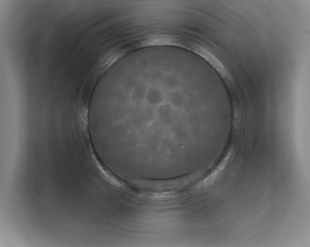 X0000111510849200907211202