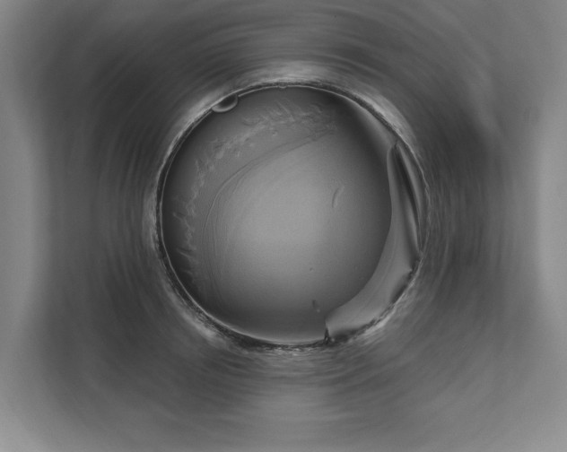 X0000111510850200907211202