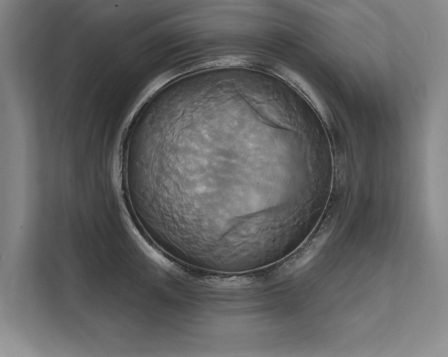 X0000111510851200907211202