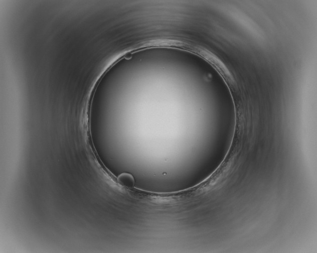 X0000111510852200907211202