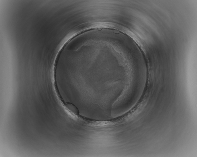 X0000111510853200907211202