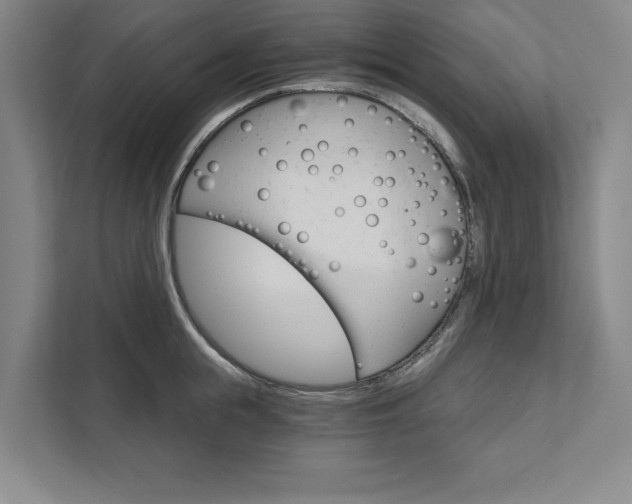 X0000111510855200907211202