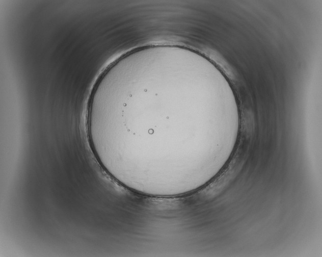X0000111510856200907211202