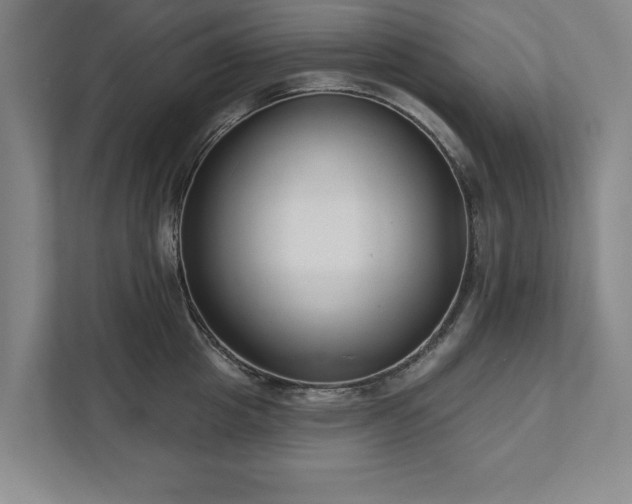 X0000111510857200907211202
