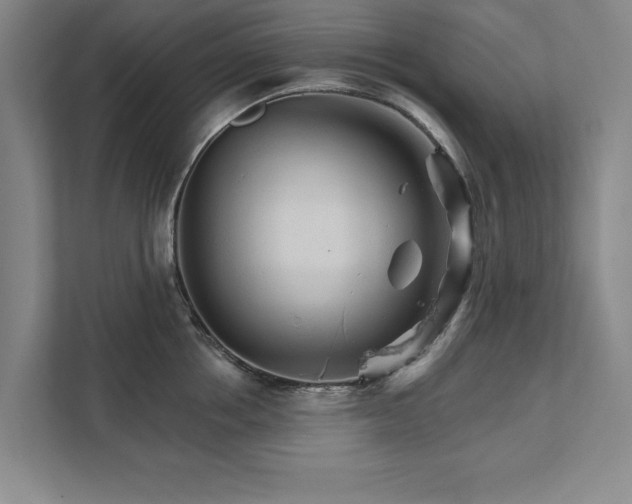 X0000111510858200907211202