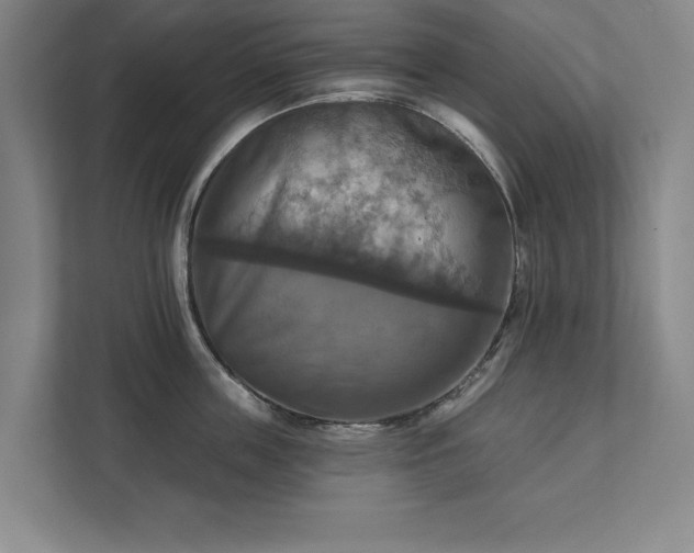 X0000111510859200907211202