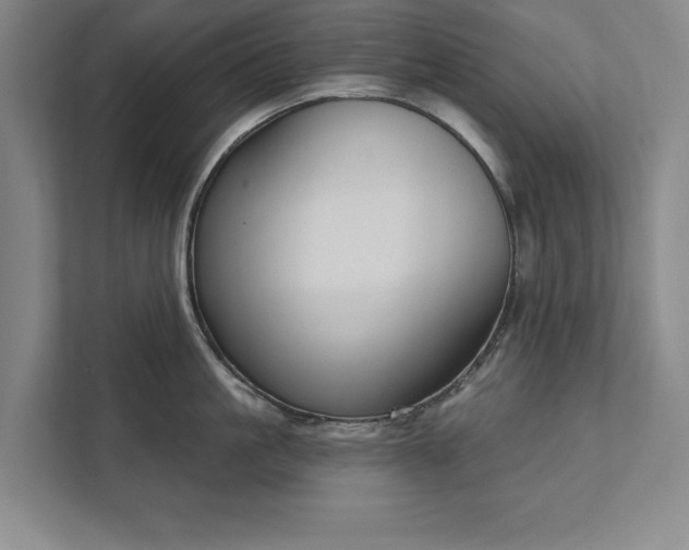 X0000111510861200907211202