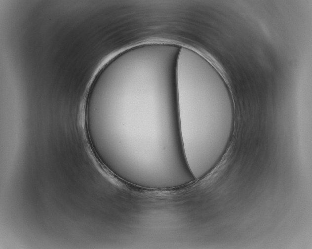 X0000111510862200907211202