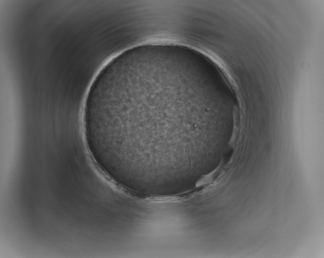 X0000111510864200907211202