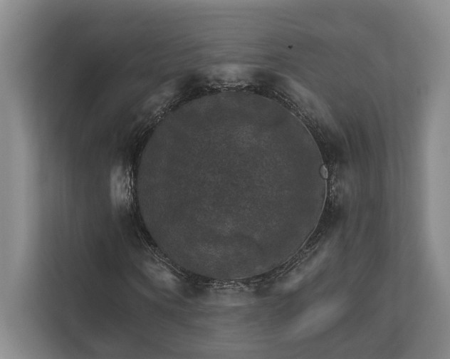 X0000111510866200907211201