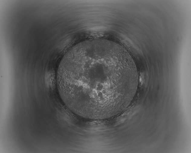X0000111510867200907211201