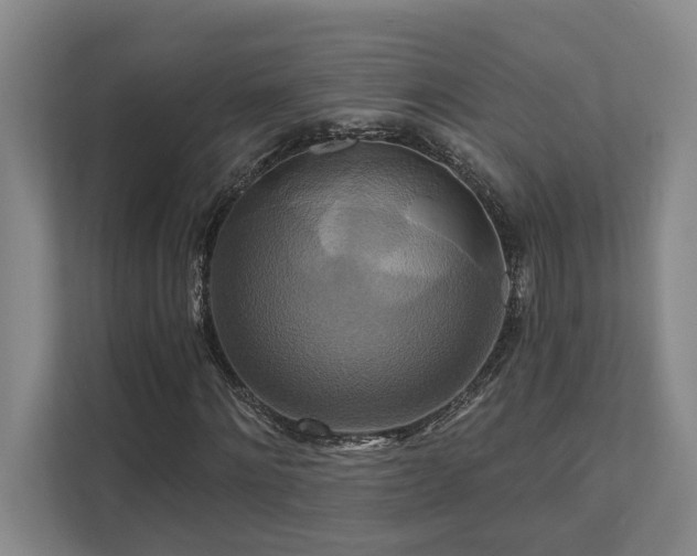 X0000111510868200907211201