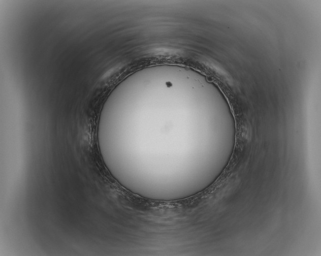 X0000111510869200907211201